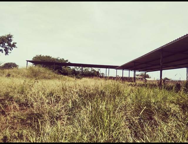LAND FOR SALE IN MANGONDI
